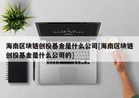 海南区块链创投基金是什么公司[海南区块链创投基金是什么公司的]